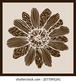 Sketch of the Adonis  plant in a simple style, sepia botanical poster in Scandinavian style, rustic simple perspective.The imprint of the medicinal flower of Adonis 