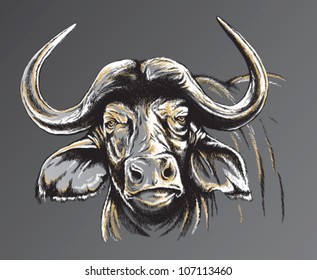 Sketch of an African Buffalo's face