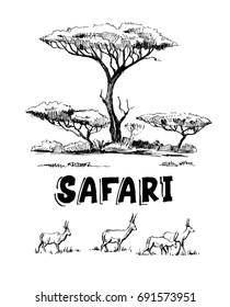 Sketch of the African savanna with antilopes and trees. Hand drawn illustrtion converted to vector.