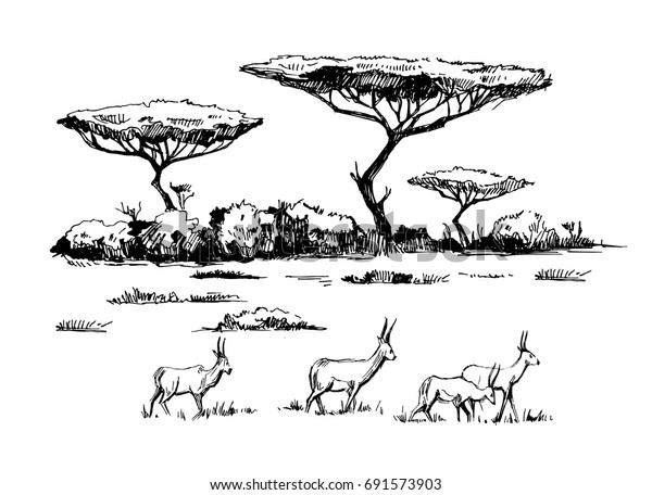 1,716 African Landscape Sketch Stock Vectors, Images & Vector Art ...