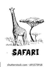 Sketch of the African savanna with giraffe and trees. Hand drawn illustrtion converted to vector.