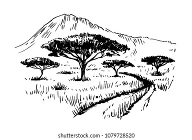 Sketch of the African savanna with plants and trees. Hand drawn illustrtion converted to vector.