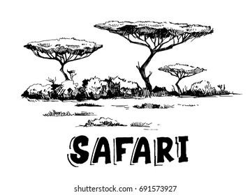 Sketch of the African savanna with plants and trees. Hand drawn illustrtion converted to vector.