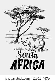 Sketch of the African savanna with rhinoceros and trees. Hand drawn illustrtion converted to vector.