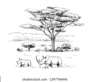 Sketch of the African savanna with trees and rhinoceros. Hand drawn illustration converted to vector.