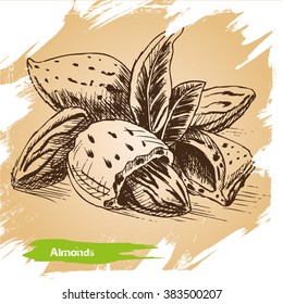 Sketch almonds