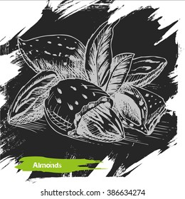 Sketch almonds.
Vector backgrounds - sketch almonds, nut.