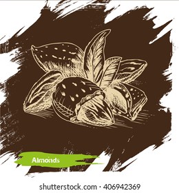 Sketch almonds.
Vector backgrounds - sketch almonds, nut.