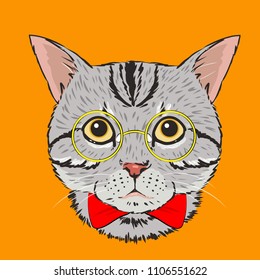 Sketch of an american shorthair on a orange background