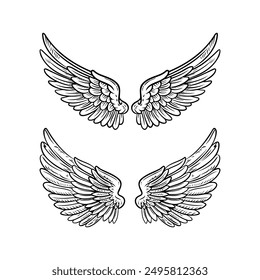 Sketch angel wings. Angel feather wing illustration.