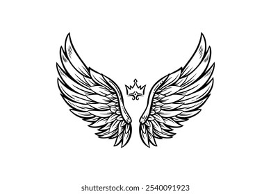 Sketch angel wings. Angel feather wing illustration.