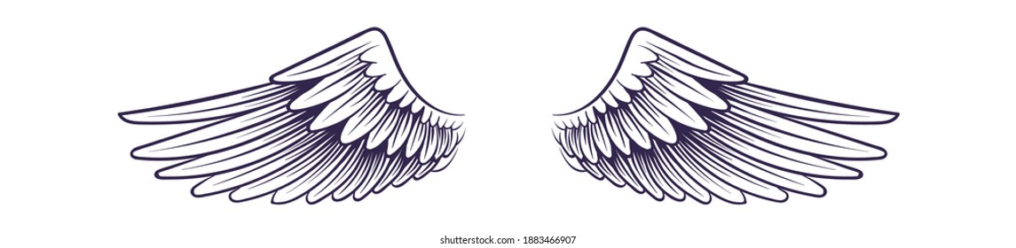 Sketch angel wings. Flying hand drawn wing, feathers decoration of heaven bird. Logo or tattoo design element, heraldic symbol vintage style badge, emblem or label vector single isolated on white icon