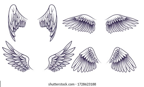 Sketch angel wings. Hand drawn different wings with feathers. Black bird wing silhouette for logo, tattoo or brand, isolated vintage vector set