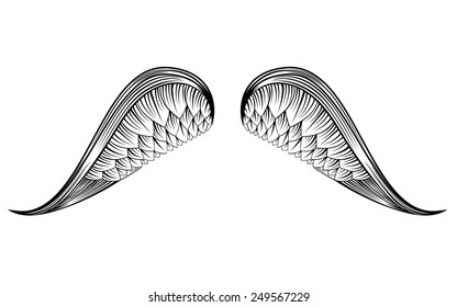 Sketch angel wings. Hand drawn vector illustration.