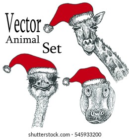 Sketch animal set