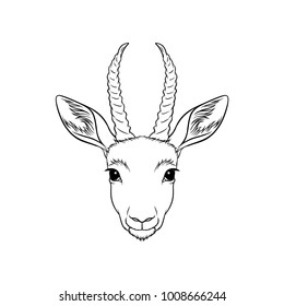 Sketch of antelopes head, portrait of forest animal black and white hand drawn vector Illustration