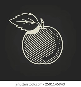 Sketch of an apple. Made by hand, ink drawing. Breakfast for school. Dark background. Vector.