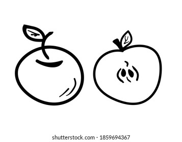 りんご 断面 のベクター画像素材 画像 ベクターアート Shutterstock