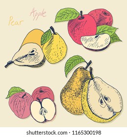 Sketch apple and pear vector illustration - whole and sliced by half