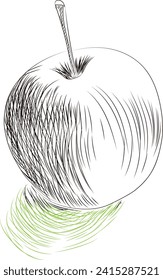 Sketch of an apple. Vector illustration. For print.