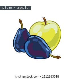 sketch apples and plums: three whole fruits