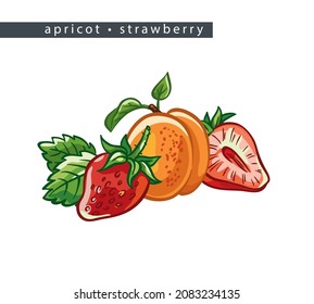 sketch apricots and strawberries: two whole fruits, half and leaves 
on a white background, isolated vector drawing