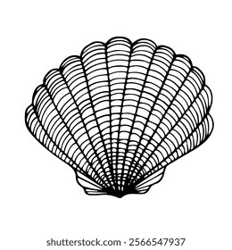 Sketch of aquatic inhabitants of decorative seashells. Vector graphics.