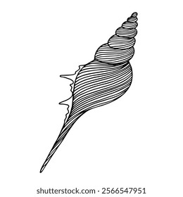 Sketch of aquatic inhabitants of decorative seashells. Vector graphics.