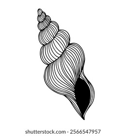 Sketch of aquatic inhabitants of decorative seashells. Vector graphics.