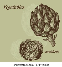 Sketch of artichoke in retro stile