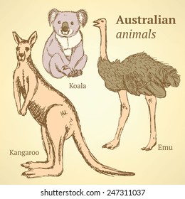 Sketch Australian animals in vintage style, vector