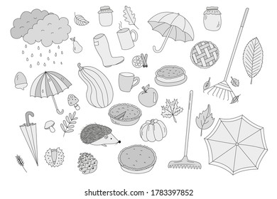 Sketch for Autumn. Autumn background. For design. Vector