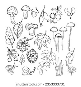  sketch of autumn elements, leaves, flowers, mushrooms, insects. vector illustration