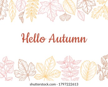 Sketch autumn leaves background. Fall leaf banner, colorful drawing foliage. Forest nature of november october botanical vector illustration