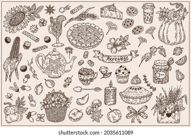 Sketch autumn set. Vector hand drawn plants, food and symbols of fall. Pumpkin, pie, berry, apple, basket, corn, sunflower, candle, jam, tea, coffee. Harvest seasonal illustration.