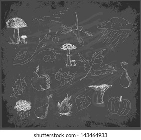 Sketch of autumn symbols on black chalkboard. Vector illustration.