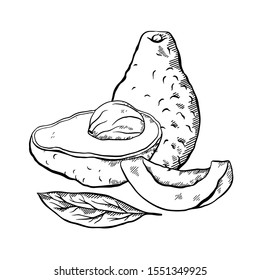 Sketch of avocado with hatching. Various elements of avocado slices with pits and leaves. Keto diet. Ingredients for Guacamole. Vector element for menus, articles, cards and your design.