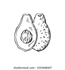 Sketch of avocado with hatching. Various elements of avocado slices with pits. Keto diet. Ingredients for Guacamole. Vector engraving element for menus, articles, cards and your design.
