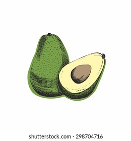 Sketch of avocado. Original vector illustration.