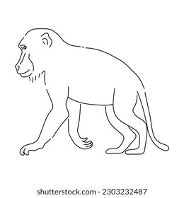 Esbozo de Baboon dibujado a mano. Ilustración dibujada a mano por vectores.