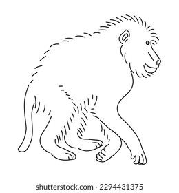 Skizze von Baboon. Handgezeichnete Vektorgrafik.