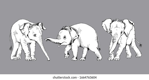 Sketch baby elephant. Funny Characters. Set collection. Hand drawn style print. Vector illustration.