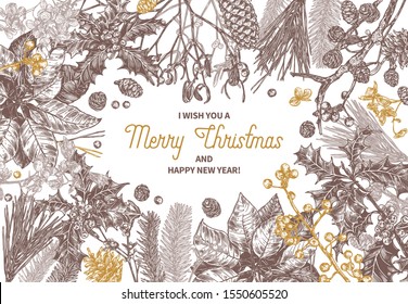Sketch background made with christmas festive plants, branches of fir, larch, spruce, poinsettia, holly berry, mistletoe, cones. Holiday hand drawn botanical frame with greeting or invitation