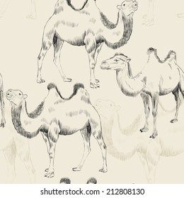 sketch of Bactrian camel on a beige background