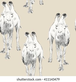 sketch of Bactrian camel on beige background