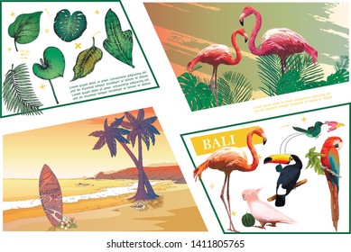 Sketch Bali colorful composition with exotic birds banana monstera frangipani palm leaves and tropical beach landscape vector illustration
