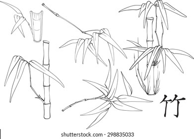 sketch with bamboo collection on white background.