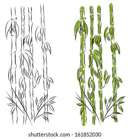 Sketch Of Bamboo On A White. Vector Illustration.