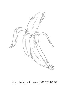 sketch of the banana on white background, isolated, vector