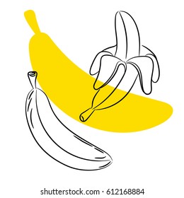 Sketch banana vector. Closed and open peel silhouette fruit.